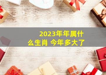 2023年年属什么生肖 今年多大了